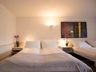 Du Sauvage Grindelwald ホテル 3*