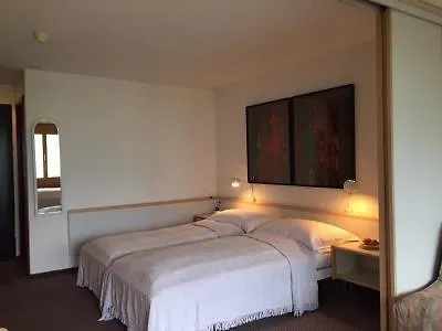 فندق Du Sauvage Grindelwald Jungfrau