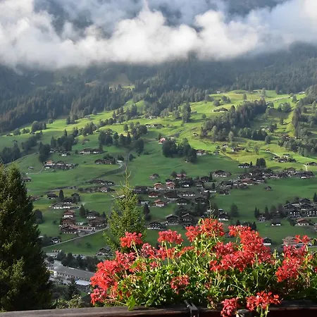 فندق Du Sauvage Grindelwald Jungfrau