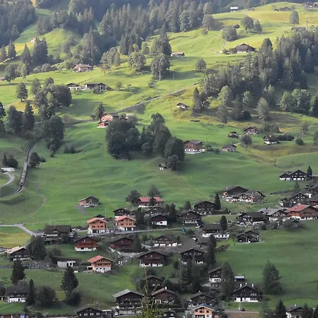 فندق Du Sauvage Grindelwald Jungfrau