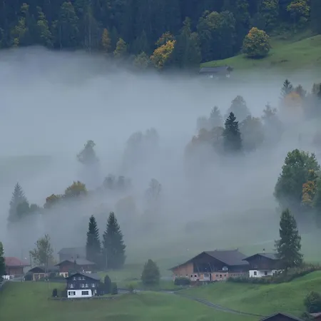 فندق Du Sauvage Grindelwald