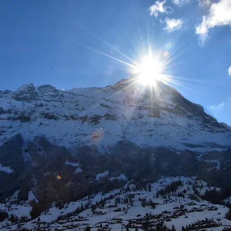 Du Sauvage Grindelwald Hotell 3*