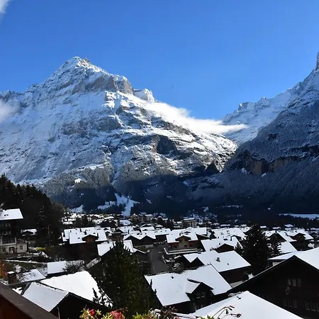 Du Sauvage Grindelwald فندق 3*