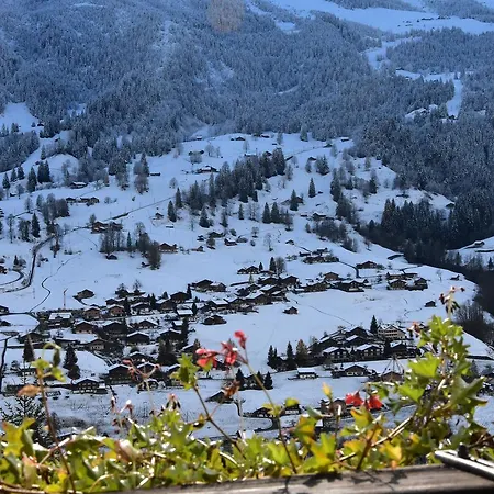 Du Sauvage Grindelwald Hotell 3*