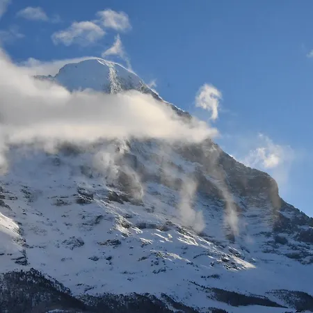 فندق Du Sauvage Grindelwald 3*