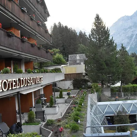 Du Sauvage Grindelwald فندق 3*