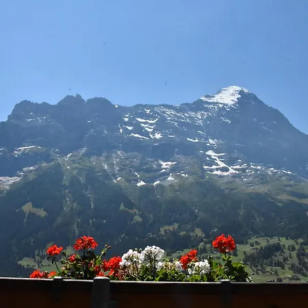 فندق Du Sauvage Grindelwald Jungfrau
