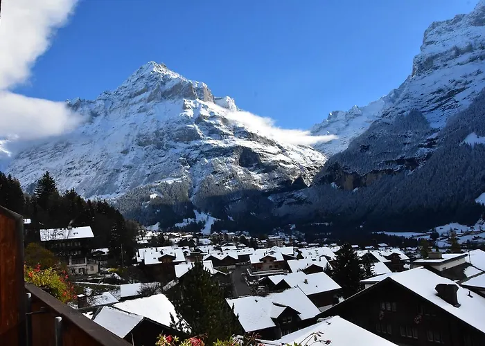 Du Sauvage Grindelwald Hotel 3*