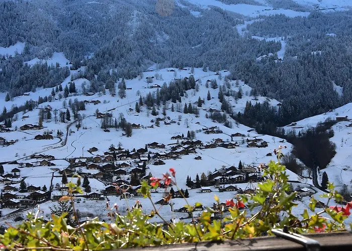 Du Sauvage Grindelwald Hotel 3*