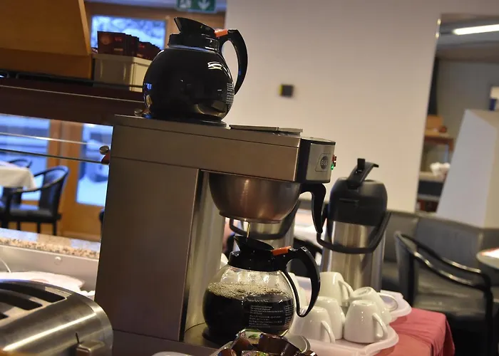 Hotel Du Sauvage Grindelwald 3*