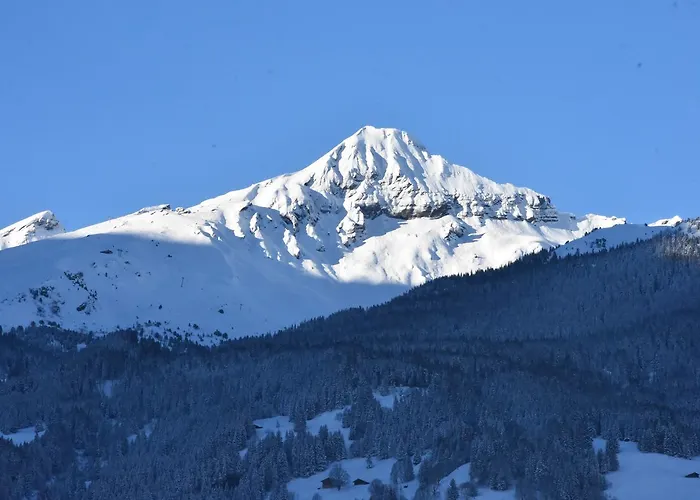 Du Sauvage Grindelwald 3*