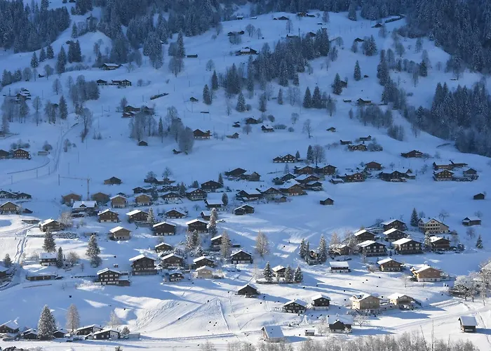 Du Sauvage Grindelwald Hotel