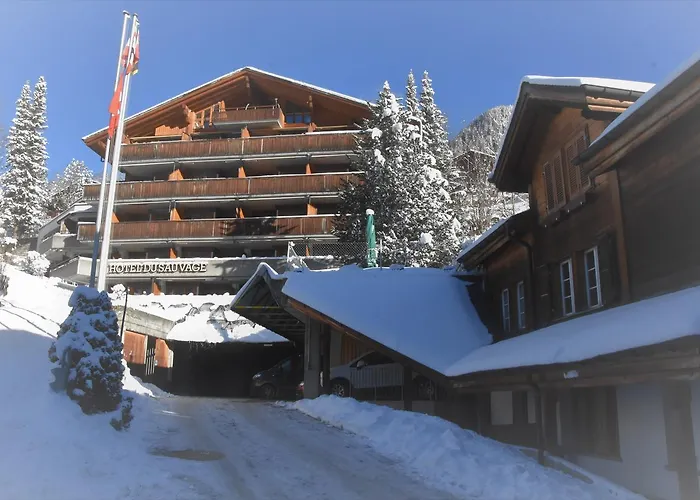 Du Sauvage Grindelwald Hotel 3*