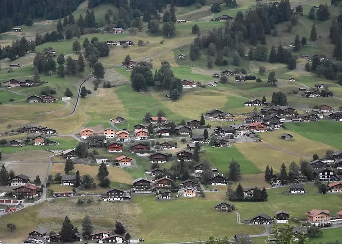 Du Sauvage Grindelwald