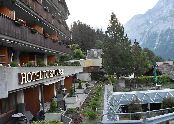 Du Sauvage Grindelwald Hotel 3*