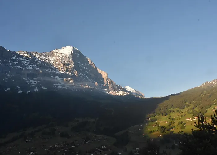 Du Sauvage Grindelwald 3*