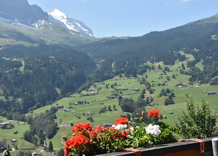 Du Sauvage Grindelwald 3* Jungfrau