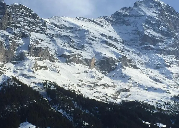 Hotel Du Sauvage Grindelwald