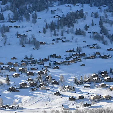 Du Sauvage Grindelwald Hotel