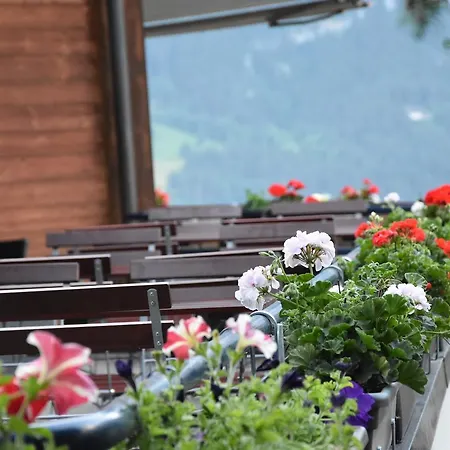 Du Sauvage Grindelwald Hotel