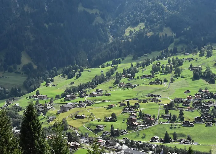 Du Sauvage Grindelwald