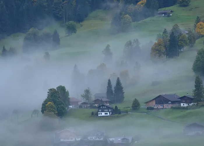 Hotel Du Sauvage Grindelwald 3*