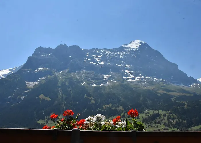 Hotel Du Sauvage Grindelwald Jungfrau
