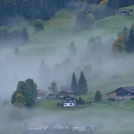 Hotel Du Sauvage Grindelwald 3*