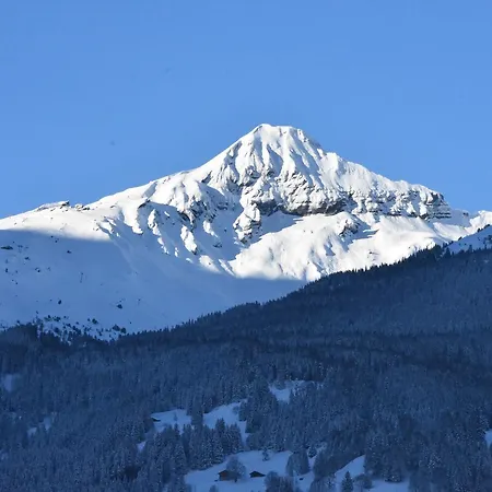 Du Sauvage Grindelwald 3*